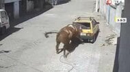 間一髪 “巨大な岩”崩落の瞬間 斜面でショベルカーが岩の塊を…暴れ牛で街が大混乱も トルコ
