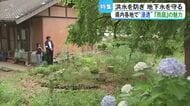 洪水を防ぎ地下水を守る 県内で浸透『雨庭』の魅力【熊本】