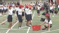運動会を席巻する「♪チェッチェッコリ」全国に広がる“ダンシング玉入れ”発案者は一体誰なのか…そのルーツを追え!