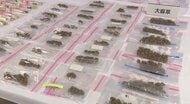 “岐阜”や“手押し”等の隠語使い集客か…大麻リキッドを男2人に販売しようとした疑いで26歳男逮捕 大規模に密売の可能性も