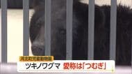 「歴史と思い出たくさん紡いで」　ツキノワグマ愛称「つむぎ」に決定　山形・河北町児童動物園