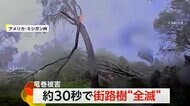 車内で死を覚悟したカップルも…“巨大竜巻”が30秒で街路樹を全滅 建物にも甚大な被害 アメリカ