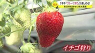 １年中「フルーツ狩り」が楽しめる！津波被害の荒浜に体験型観光…