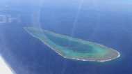 今世紀に水没の危機!日本最南端・沖ノ鳥島のサンゴ移植プロジェクトを独自取材