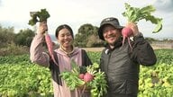 「子供が食べてくれない野菜を作っても意味がない」元研究員が移住して始めた有機農業 味をジャッジするのは2人の娘 育てるのは「ターサイ」や「緑なす」等の珍しい100種以上の野菜