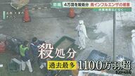 「たった５羽の死で4万羽を殺処分」養鶏場は今…　相次ぐ鳥インフルエンザで“卵”と“鶏肉”の値段も高騰　【大阪発】
