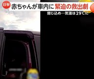 外気温29℃…赤ちゃんが車に閉じ込められる「強引にいきますよ！」警察が窓を割って救出　母親が誤って鍵を車内に　アメリカ・フロリダ州