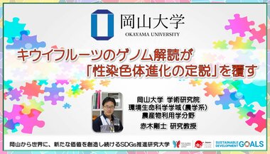 【岡山大学】キウイフルーツのゲノム解読が「性染色体進化の定説」を覆す