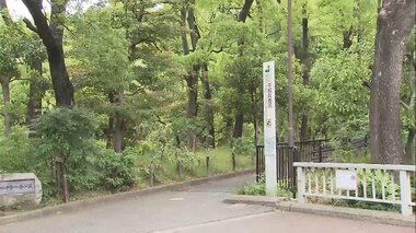 東京大田区「平和の森公園」で猫の不審死… 虐待?警察が捜査