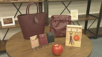 材料はリンゴとキノコ　注目度UPの「信州発ビーガンレザー」　SDGsと信州らしさ発信する新素材