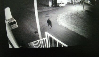 【ヒグマ速報】防犯カメラに住宅街を徘徊するクマの姿が…目撃相次ぐ_約7キロ離れた場所では幅約15センチの成獣とみられる足跡が数十か所―警察と市が警戒強める〈北海道士別市〉