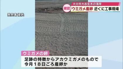 海岸で“ウミガメの産卵”確認されるも…　周辺には工事現場　作業中断し市とNPOが対応を協議　大分