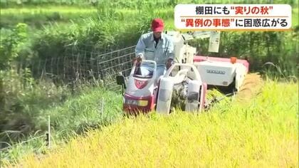 「日本の棚田百選」美咲町で稲刈り始まる　実りの秋到来も概算金“見送り”に困惑する農家は【岡山】