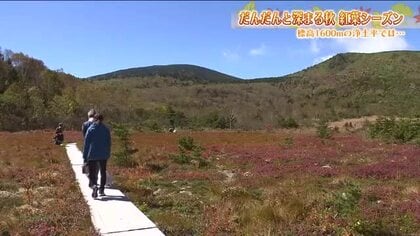 「今が一番の見ごろ」標高1600ｍの浄土平に紅葉のシーズン到来　クマ対策も万全に　福島