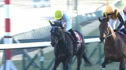 【アメリカジョッキークラブC・GⅡ(AJCC)＆プロキオンS・GⅡ】中山では、「最強4歳世代」ショウヘイが豪快アーチで重賞2勝目！そして、京都ではこれまで重賞全て2着だったロードクロンヌが悲願の頂点！