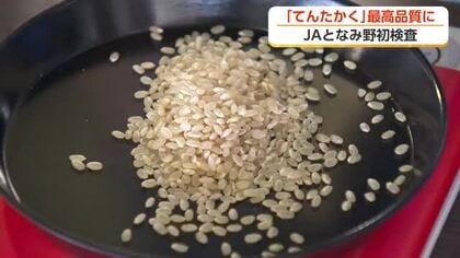 早生品種「てんたかく」の初検査　すべて最高品質の「一等」に格付け　富山・砺波市