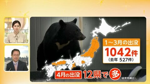 1～3月のクマ出没“倍増”　政府がクマ対策で関係閣僚会議　対策は？“子供向け”1分アニメ動画作成へ