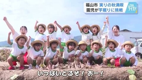 実りの秋「ばあばたちが喜ぶ！」料理は「天ぷら」で　園児たちがサツマイモを収穫　広島・福山市
