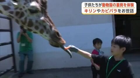 寝床の掃除や餌やりに奮闘　夏休み中の子供たちが動物園の裏側を体験　大森山動物園サマースクール　秋田市