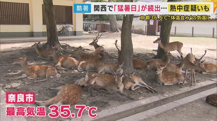 各地で猛暑日