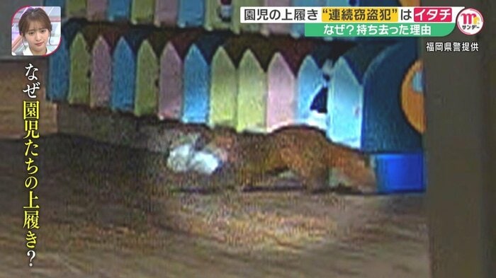 園児の上履きをくわえたイタチ