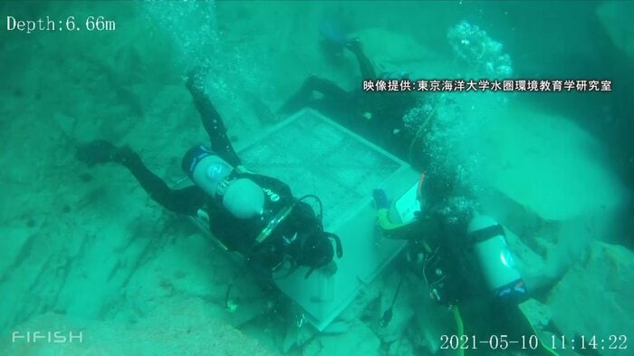 再会は5年後…