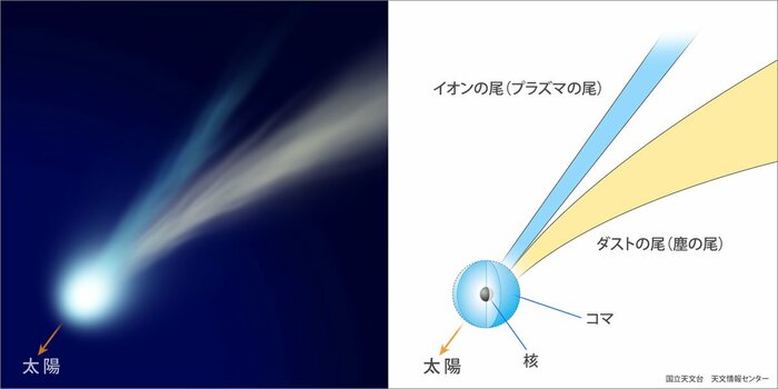 彗星の模式図 (引用:国立天文台)