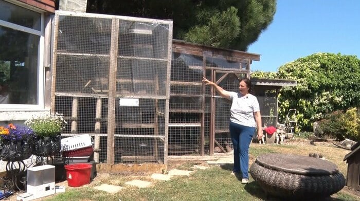 自宅に併設されたシェルター