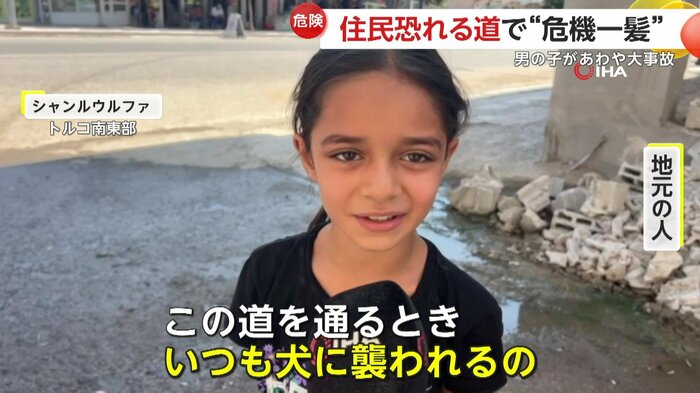 よく犬に襲われる道だと話す女の子