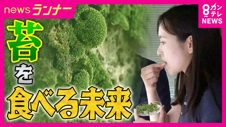 「薬の代わりにコケを食べる未来」も　食用コケ「鉄分ホウレンソウの25倍」　フィルター化で「化学薬品に代わって工業排水処理に活用も」　約5億年前から存在する「コケ」の秘めたる力｜FNNプライムオンライン