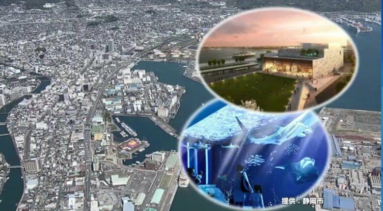 どうなる？遅々として進まない静岡市の“海洋・地球総合ミュージアム”構想　市長は「相乗効果を期待」と言うが…近接地に民間事業者による”体感型水族館”計画が浮上｜FNNプライムオンライン