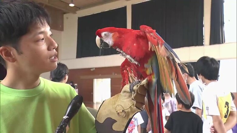 学校に動物園・水族館の仲間が大集合　児童が生き物に触れ“命の大切さ”学ぶ【秋田発】｜FNNプライムオンライン