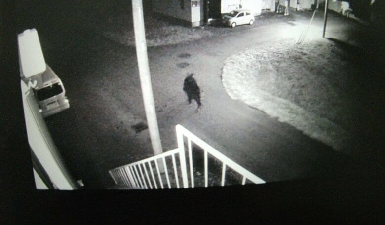 【ヒグマ速報】防犯カメラに住宅街を徘徊するクマの姿が…目撃相次ぐ_約7キロ離れた場所では幅約15センチの成獣とみられる足跡が数十か所―警察と市が警戒強める〈北海道士別市〉｜FNNプライムオンライン