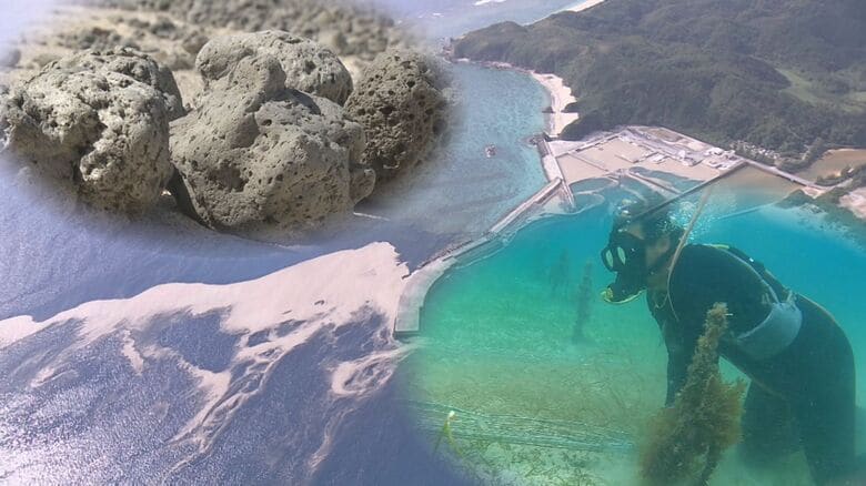 海底火山の噴火で漂着 「軽石」に翻弄された沖縄の暮らし　漁業・観光への影響いつまで？｜FNNプライムオンライン