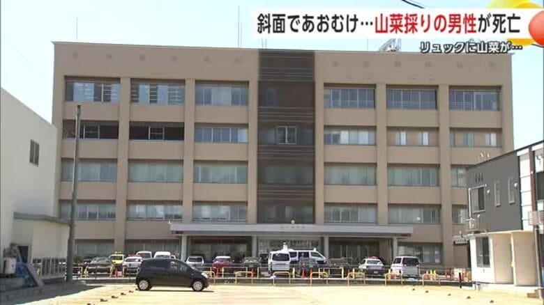 ワラビ採りで行方不明の男性（90）死亡　斜面にあおむけに倒れた状態で発見、体に擦り傷　秋田・横手市｜FNNプライムオンライン