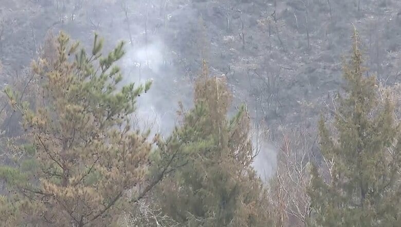 愛媛・岡山の“山火事”鎮火せず　“恵みの雨”に期待も…専門家「雨降った後も火種残ったりする」さらに三重で新たな山火事｜FNNプライムオンライン
