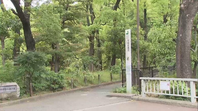 東京大田区「平和の森公園」で猫の不審死…　虐待？警察が捜査｜FNNプライムオンライン