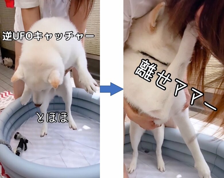 母親に抱えて入れられるも、暴れて逃走
