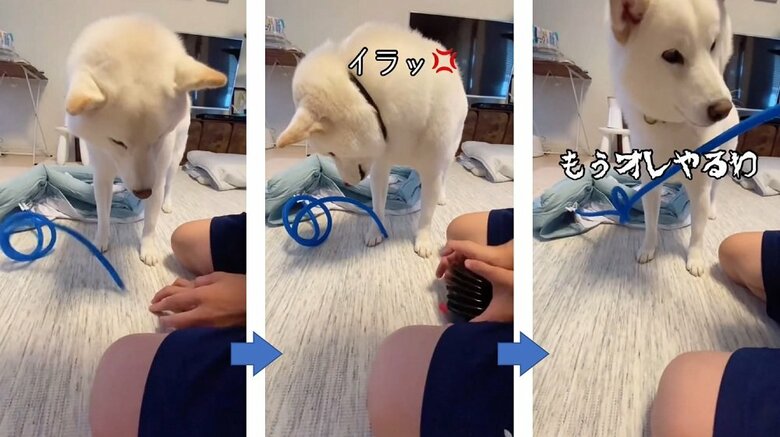 ホースが外れて…だい吉くん「もうオレやるわ」