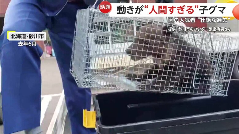 2023年6月に保護されたすなすけ