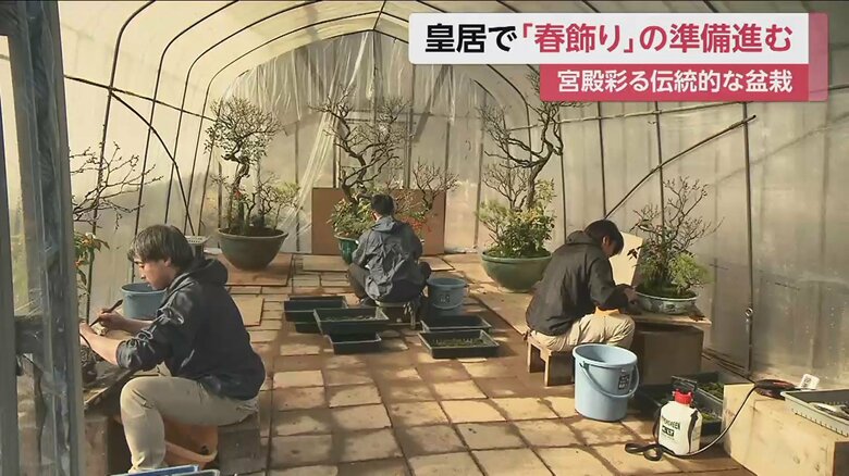 皇居内の大道庭園で行われた準備作業