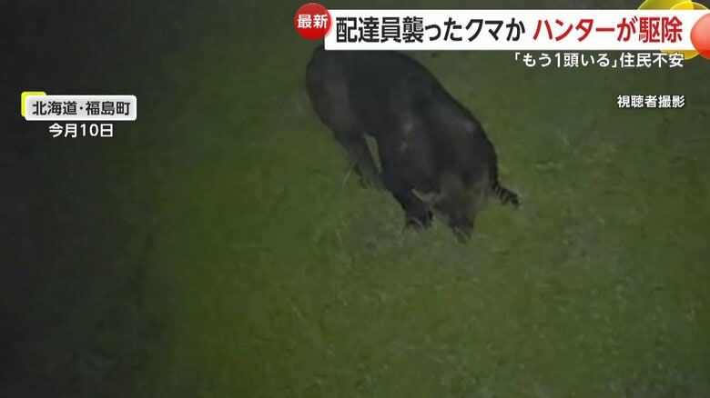 10日に撮影されたクマ