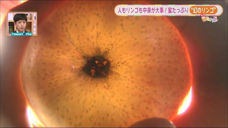 太陽にかざすとリンゴが半分透けて見えるのは、蜜が多いからこそ