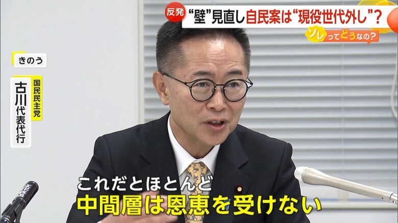 自民党が示した案を批判した国民民主党の古川代表代行