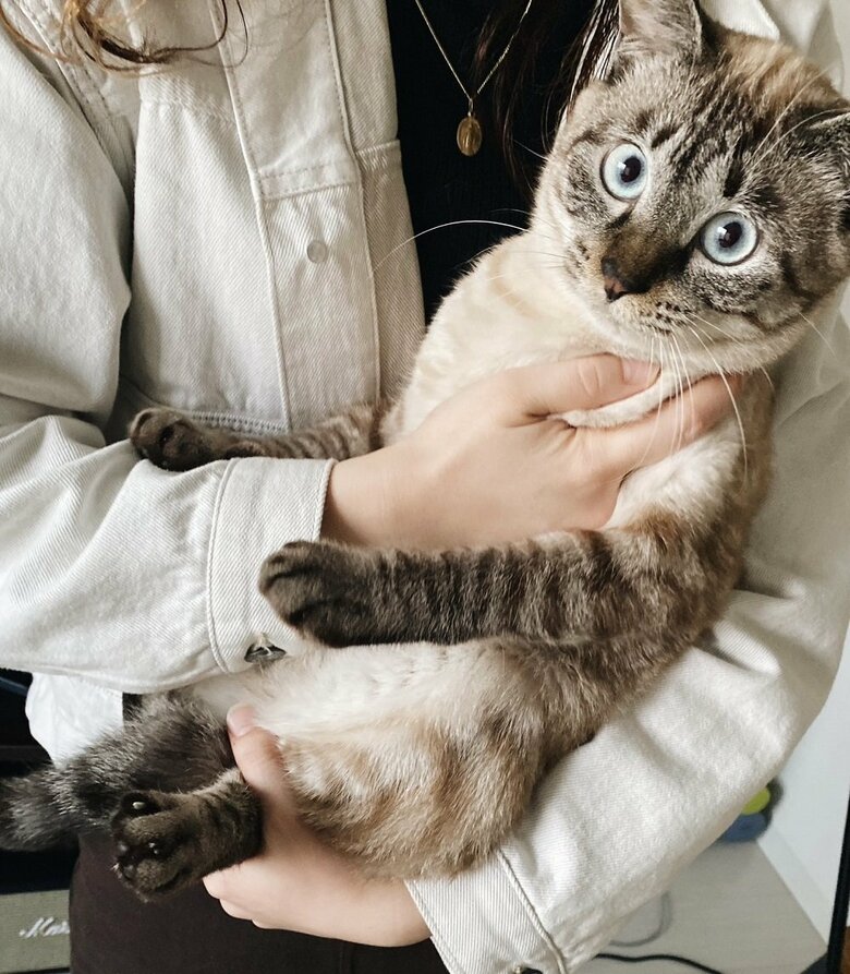 抱っこされているモネくん