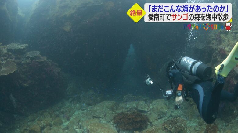 水深10メートルの深さへ…