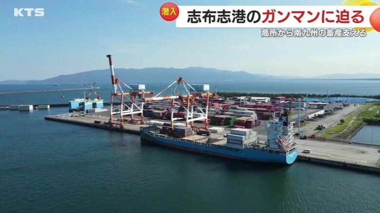 長さ6kmにも及ぶ志布志港