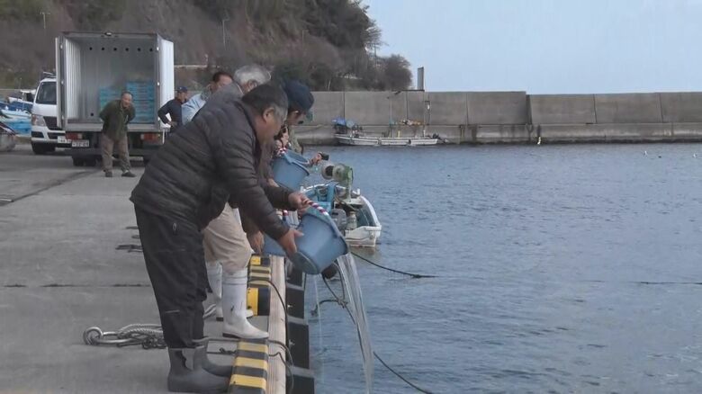 稚ナマコの放流