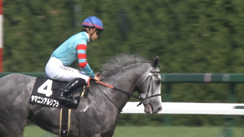 ヤマニンアルリフラ