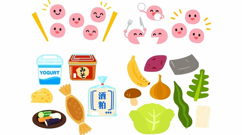 発酵食品や、食物繊維が豊富な食材を意識してお腹の調子を整えよう